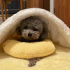 PETEASE LUXURY – Coussin orthopédique pour chien contre le stress et les douleurs articulaires
