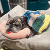 PETEASE LUXURY – Coussin orthopédique pour chien contre le stress et les douleurs articulaires