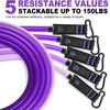 PowerFlex Weerstandsband Set – Full Body Training met Deuranker & Handgrepen
