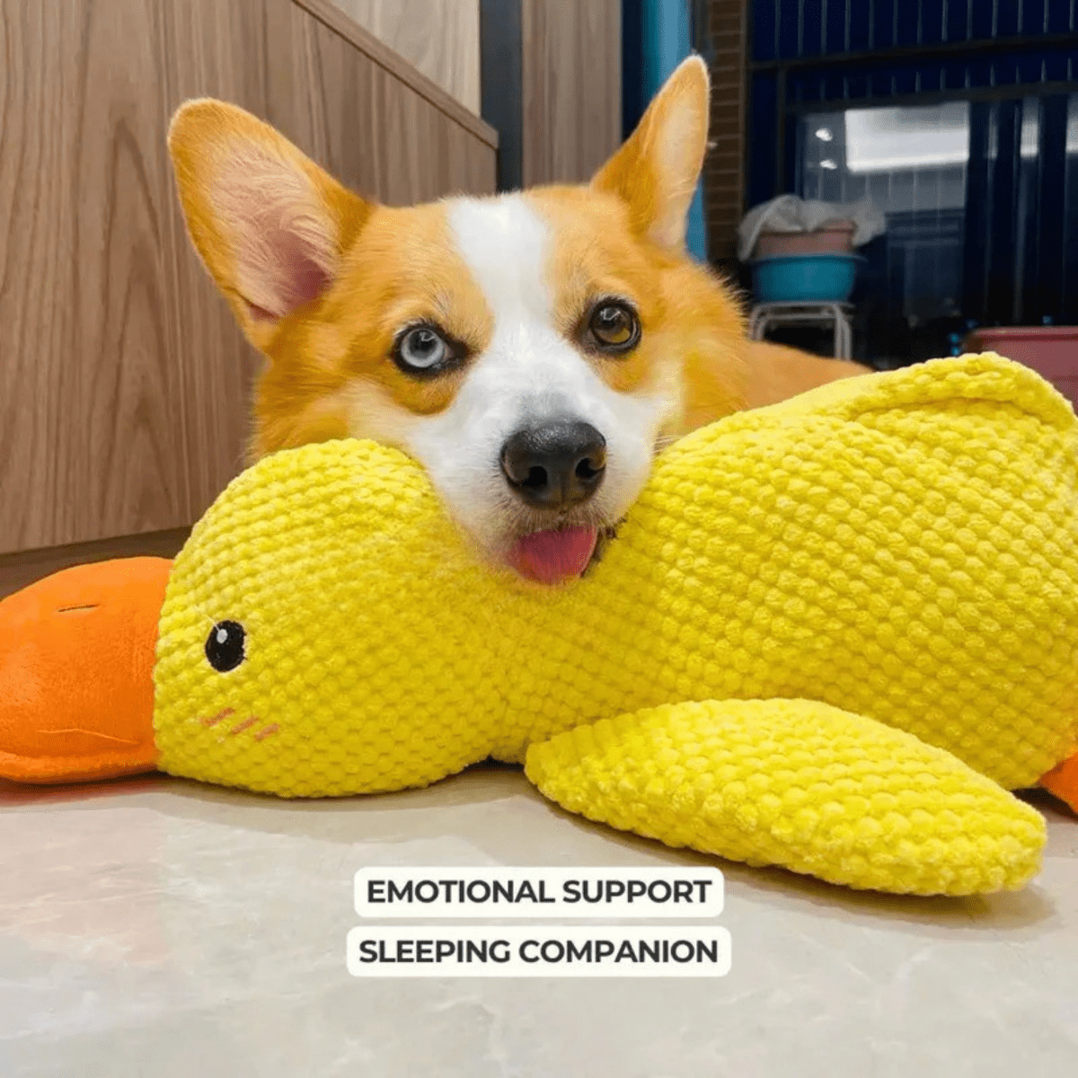 FluffieDuck Plüschspielzeug für Hunde | Weiches Quietschspielzeug | Haltbares Kuscheltier | Komfortspielzeug | Hundezubehör