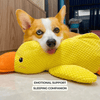 FluffieDuck Plüschspielzeug für Hunde | Weiches Quietschspielzeug | Haltbares Kuscheltier | Komfortspielzeug | Hundezubehör