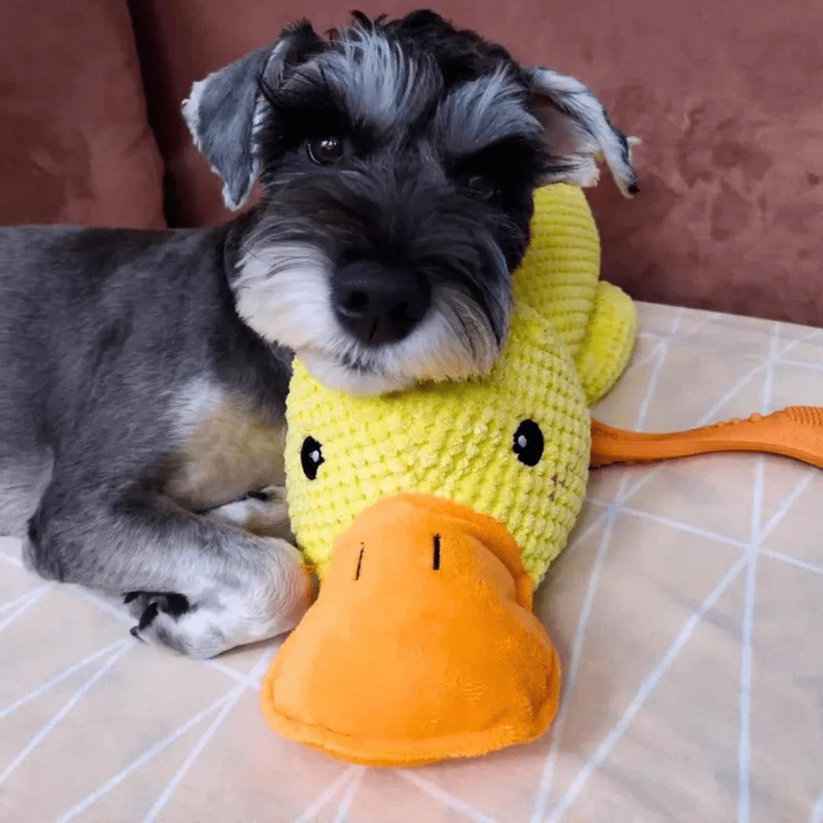 FluffieDuck Plüschspielzeug für Hunde | Weiches Quietschspielzeug | Haltbares Kuscheltier | Komfortspielzeug | Hundezubehör