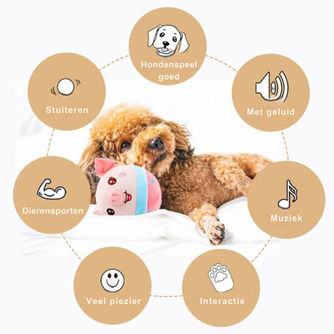 Rover Active Hundespielzeug mit Bewegung | Intelligenter interaktiver Ball | Automatisches Bewegungsspielzeug für Hunde | Wiederaufladbar | Bewegung und Spaß für Ihr Haustier 3