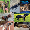 TacticalK9 Hundekabelbaum – Robustes & Komfortables Design für sicheres Training-6