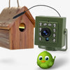 NestCam WLAN-Kamera – 1080p HD & Wetterfest für beeindruckende Vogelbeobachtungen-2