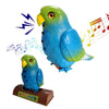 TALKYBIRD – Perroquet interactif qui répète tout
