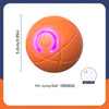 VitaWurf Smartball – Für ein aktives, glückliches Hundeleben mit Extra-Spielzeit