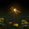 Variant image for Libelle