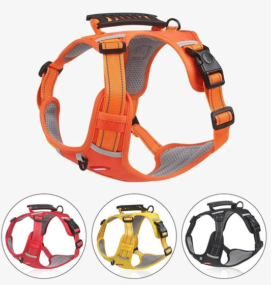 Pettorina WalkEase – Imbracatura anti-tiro per cani per passeggiate rilassate