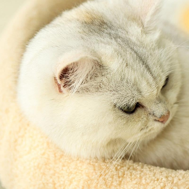 MeowHaven Nest – Stilvolles Katzenbett mit Kratzfläche & Kuschelkissen