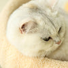 MeowHaven Nest – Stilvolles Katzenbett mit Kratzfläche & Kuschelkissen