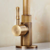 Robinet GoldenSwan – Robinet ancien au design col de cygne pour cuisine et jardin