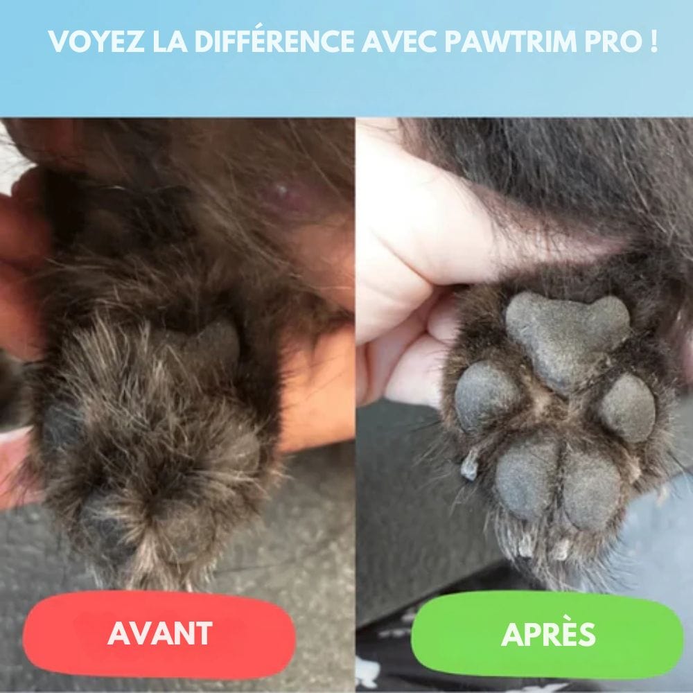 SilentPet Trimmer – Geräuscharmer Fellschneider für empfindliche Zonen bei Hund & Katze