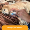SilentPet Trimmer – Geräuscharmer Fellschneider für empfindliche Zonen bei Hund & Katze