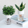 Botania - Vaso per fiori semplice ed elegante