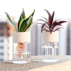 Botania - Vaso per fiori semplice ed elegante