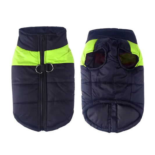 TailWarm – Veste d'hiver pour chiens avec protection et confort
