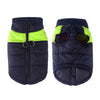TailWarm – Veste d'hiver pour chiens avec protection et confort