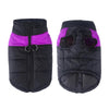 TailWarm – Veste d'hiver pour chiens avec protection et confort
