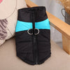 TailWarm – Veste d'hiver pour chiens avec protection et confort