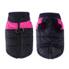 TailWarm – Veste d'hiver pour chiens avec protection et confort