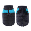 TailWarm – Veste d'hiver pour chiens avec protection et confort