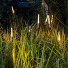 Lampes à roseaux solaires – Lampes à roseaux solaires pour un éclairage d'ambiance dans le jardin