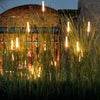 Lampes à roseaux solaires – Lampes à roseaux solaires pour un éclairage d'ambiance dans le jardin