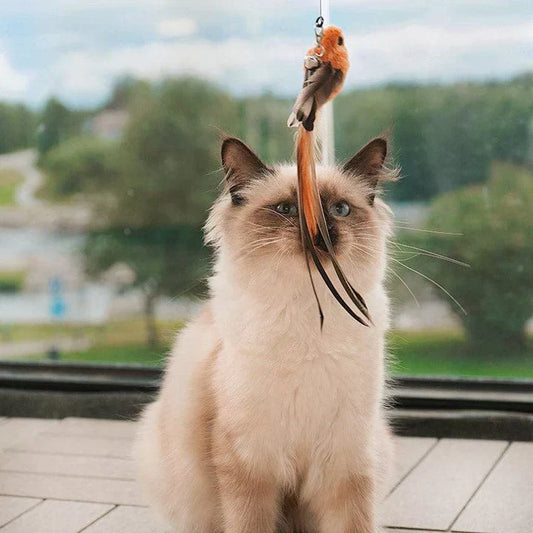 FLATTERN FREUND – Jouet interactif pour chat avec ailes battantes pour un plaisir de chasse naturel