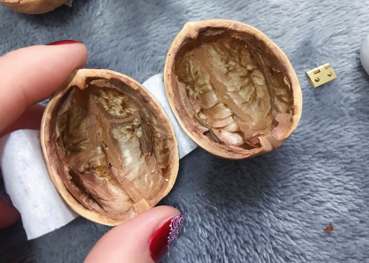 NUTSHELLIA – Casa de muñecas artesanal hecha con cáscaras de nuez y luz interior