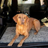 FURLINE - deurmat voor honden