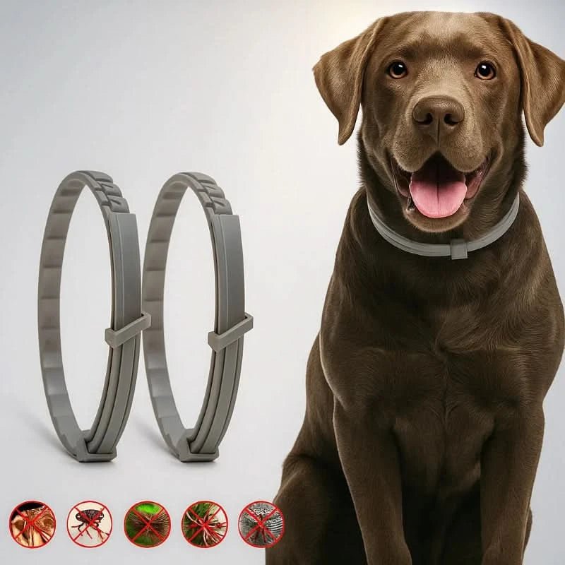 FLASHIELD COLLAR – Pflanzliches Floh- & Zeckenschutz-Halsband für Hunde & Katzen