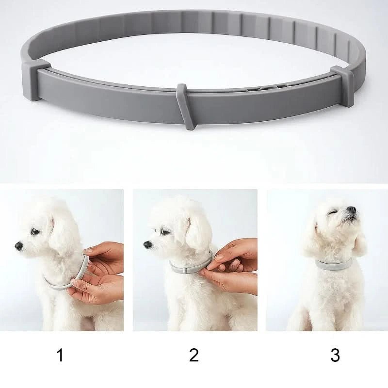 FLASHIELD COLLAR – Pflanzliches Floh- & Zeckenschutz-Halsband für Hunde & Katzen