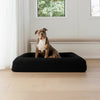 CozyCloud - Letto per cani in memory foam per il massimo comfort