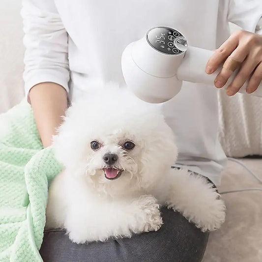 CLÉMENT SÉRÉNITÉ – Asciugatore per animali domestici silenzioso con tecnologia agli ioni per una cura del pelo senza stress