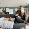 QUEHY PETBED – Wasbare luxe knuffeldeken voor honden & katten