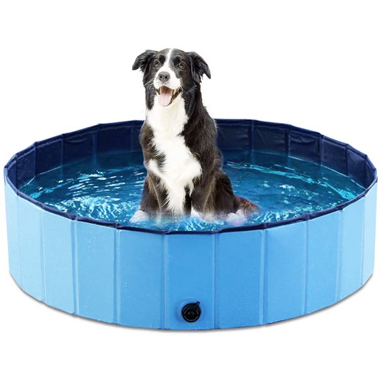 COOLPAWS – Piscine pliable pour chien pour un plaisir estival rafraîchissant