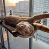 PAWPERCH – Opvouwbare raamhangmat voor katten met uitzicht en comfort