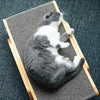 SMATCH – Stijlvol krabplank voor katten & meubelbescherming in designlook