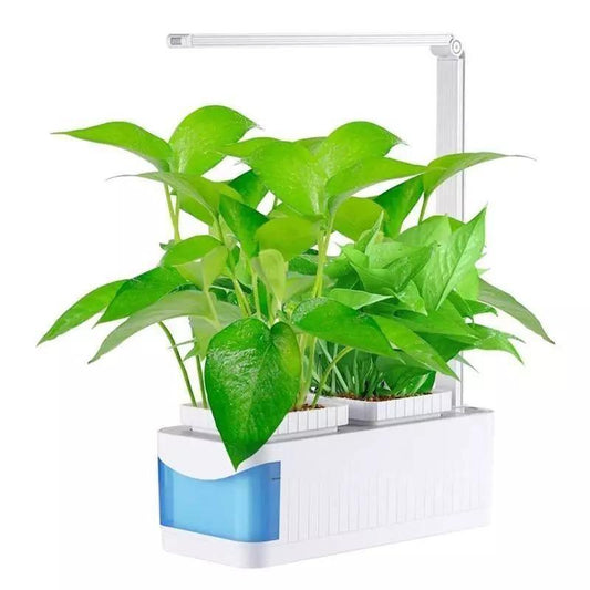 SMARTSPROUT - Indoor Kruidentuin