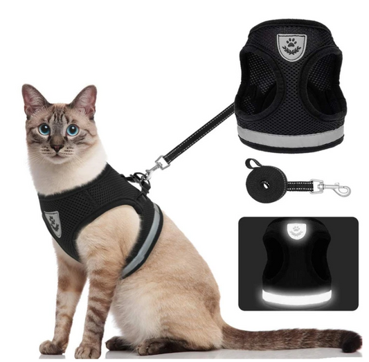 ADVENTURE HARNESS – Ausbruchsicheres Katzengeschirr mit Leine & reflektierenden Elementen