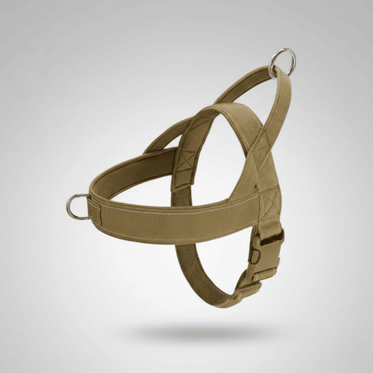 STRONGFIT – Strapazierfähiges No-Pull Nylon-Hundegeschirr für aktive Hunde