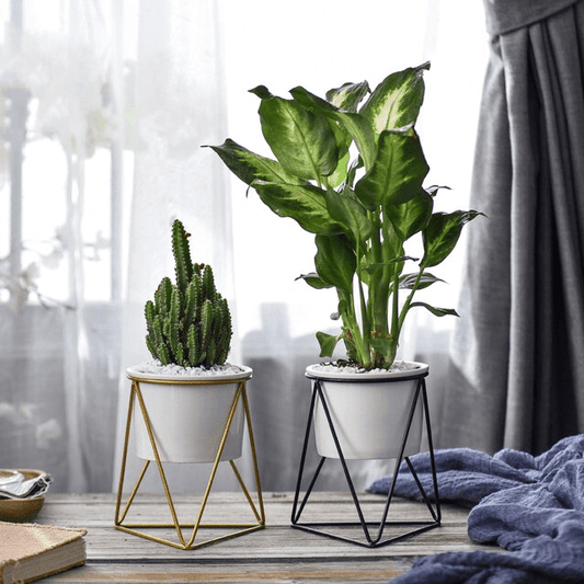 LIVIA – Elegante bloempot voor stijlvolle decoratie