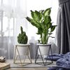 LIVIA – Elegante bloempot voor stijlvolle decoratie