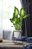 LIVIA – Elegante bloempot voor stijlvolle decoratie