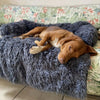 PLUSHGUARD