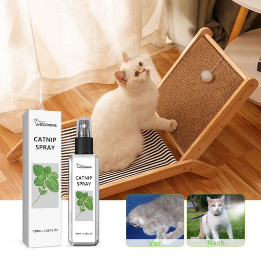 Katzenminze Katzenspray