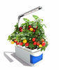SMARTSPROUT - Indoor Kruidentuin