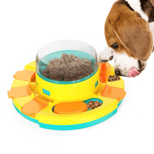 PLAYFEED – Distributore di cibo interattivo per cani con funzione gioco e pensiero