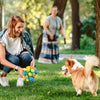 SNUFFLEFUN – interactief snuffelspeelgoed voor mentale stimulatie van huisdieren